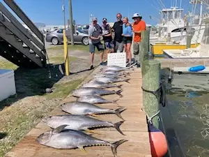 Family group staying in Corolla, NC standing with their catch of big tuna.