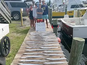 Family vacationing in Manteo caught this large bunch of ribbonfish.