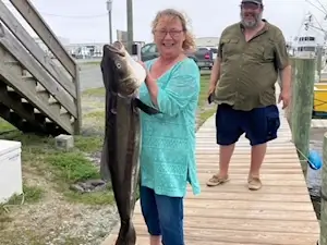 Lady angler caught this massive cobia on her Hags Head vacation trip.