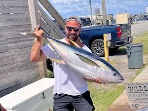 Wanchese Marina angler on Wild Card caught this beautiful yellowfin tuna.