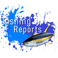 Wild Card Fishing Reports