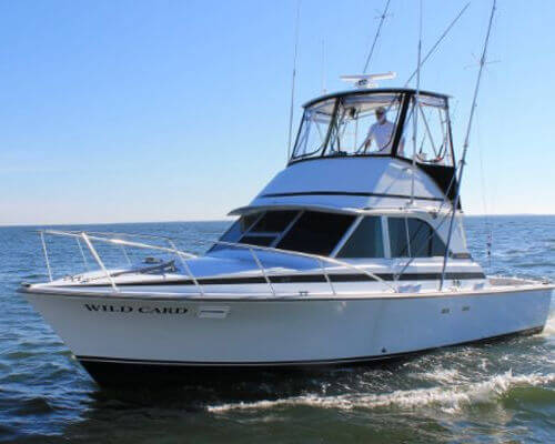 Charter boat Wild Card side view.