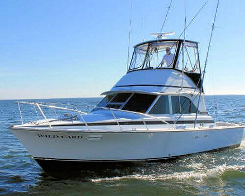 Wild Card Sportfishing boat