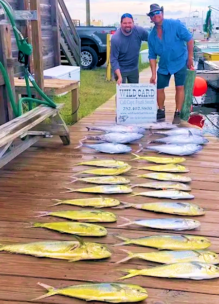 Two anglers behind mahi and tuna catch.